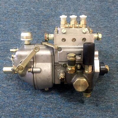 Shanghai Brand Spare Parts for Diesel Engine Pump 2105A 495AG 495BG with 6 Month Warranty for Report & Video Inspection